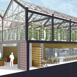 SketchUp Pro